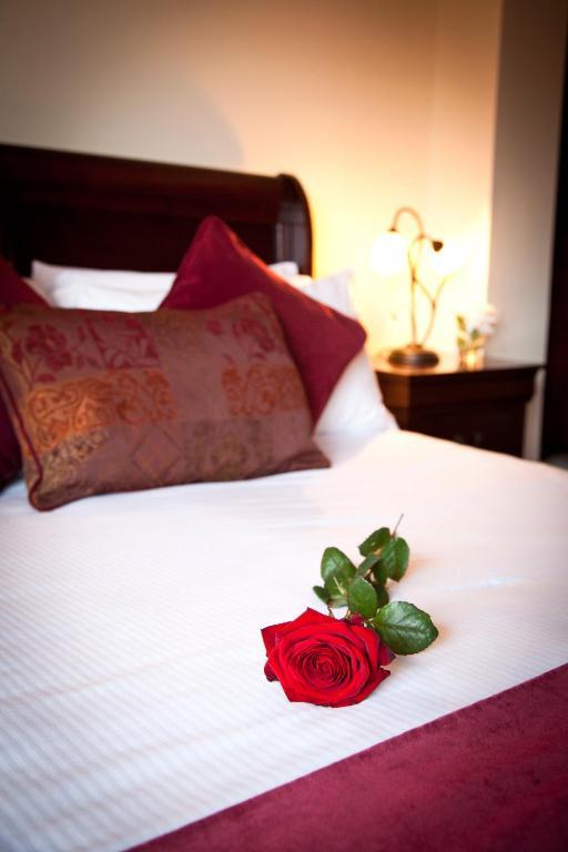 Aherlow House Hotel & Lodges ห้อง รูปภาพ